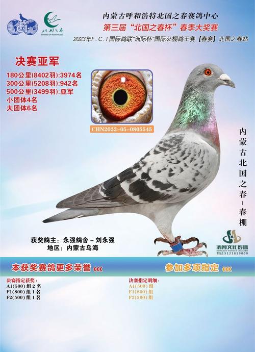 中国信鸽协会中鸽网