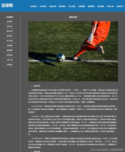 足球新2网站导航大全